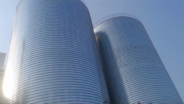 临邑2座混凝土高架卷板仓